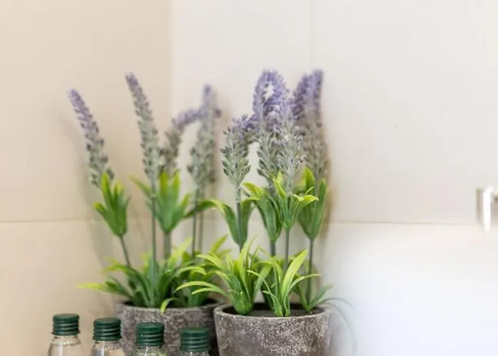 Luxury Seven Seas With Infinity Heated Pool By The Sea In Villa *